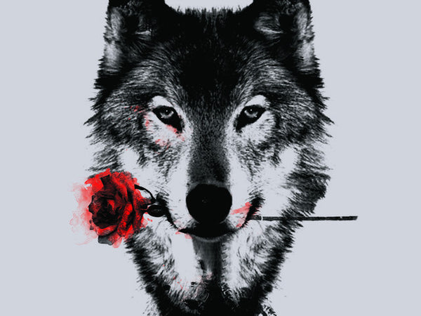 Wolf Shirt -So Romantic